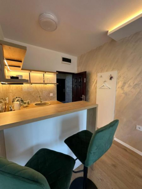 Apartman Igor